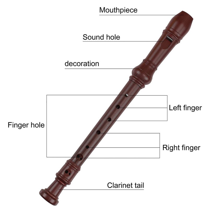 EastyGold Recorder 8 Hole Treble Flute Descant Flauta Soprano Recorder Professional Clarinet German Style C Key for Student Adults Teach Begainer Class - Image 4